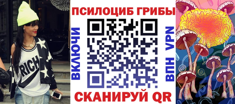 Псилоцибиновые грибы Cubensis  Купить  Кыштым 
