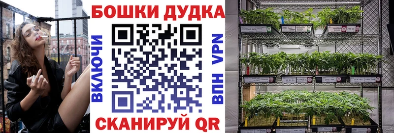 МАРИХУАНА планчик  Купить закладки  Кыштым 